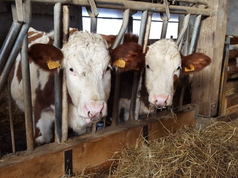 journee-ferme-entreprise