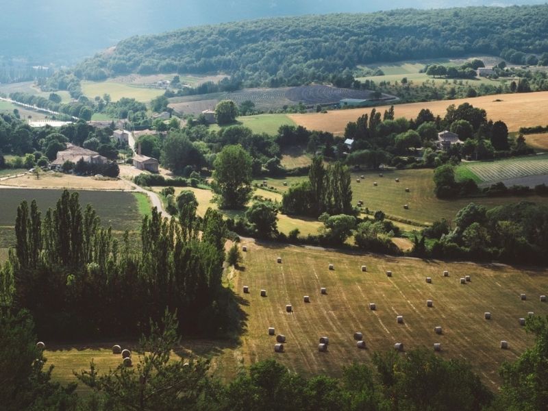 seminaire-truffe-insolite-entreprise